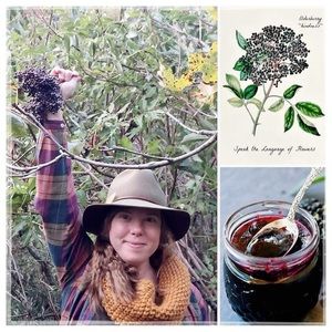 Organic Elderberry Tonic~ made with our highest quality fresh berries!